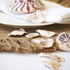 purple and white natural oyster shells for beach decor, wedding decoration, coastal decor